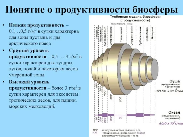 Понятие о продуктивности биосферы Низкая продуктивность – 0,1…0,5 г/м2 в сутки характерна