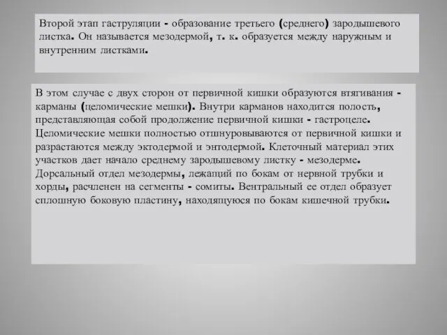 Второй этап гаструляции - образование третьего (среднего) зародышевого листка. Он называется мезодермой,