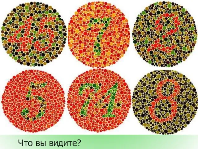 Что вы видите?