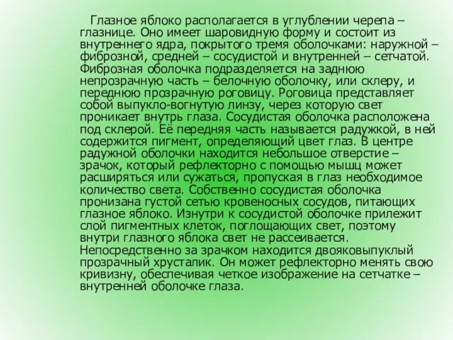 Глазное яблоко располагается в углублении черепа – глазнице. Оно имеет шаровидную форму