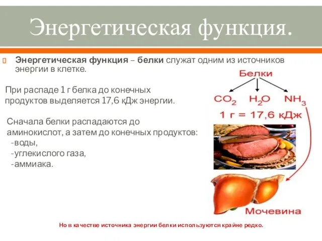 Энергетическая функция. Энергетическая функция – белки служат одним из источников энергии в