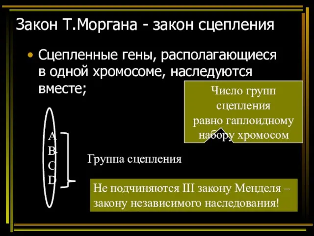 Закон Т.Моргана - закон сцепления Сцепленные гены, располагающиеся в одной хромосоме, наследуются