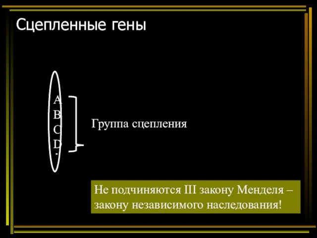 А В С D Группа сцепления Не подчиняются III закону Менделя –