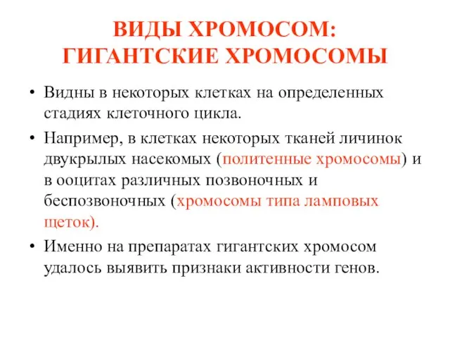 ВИДЫ ХРОМОСОМ: ГИГАНТСКИЕ ХРОМОСОМЫ Видны в некоторых клетках на определенных стадиях клеточного