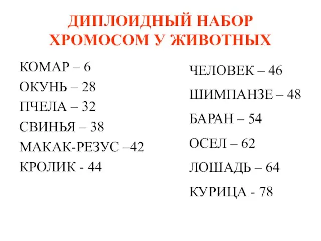 ДИПЛОИДНЫЙ НАБОР ХРОМОСОМ У ЖИВОТНЫХ КОМАР – 6 ОКУНЬ – 28 ПЧЕЛА