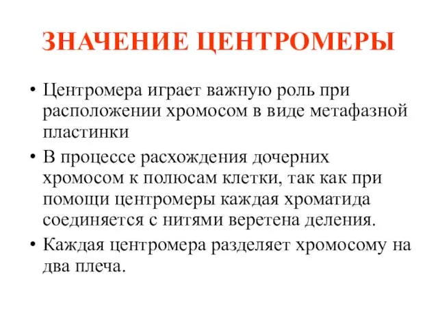 ЗНАЧЕНИЕ ЦЕНТРОМЕРЫ Центромера играет важную роль при расположении хромосом в виде метафазной