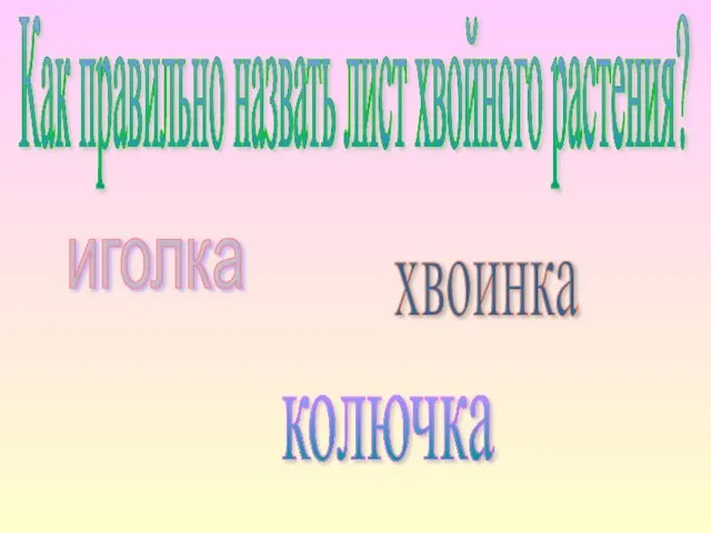 Как правильно назвать лист хвойного растения? иголка колючка хвоинка