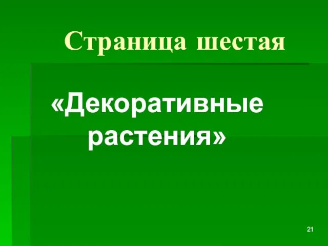 Страница шестая «Декоративные растения»