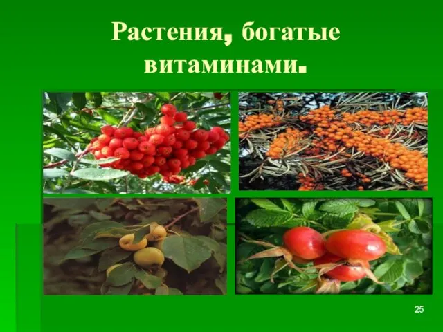 Растения, богатые витаминами.