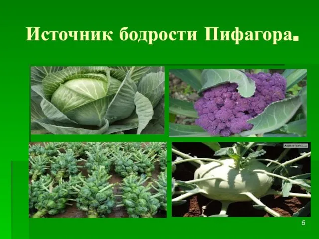 Источник бодрости Пифагора.