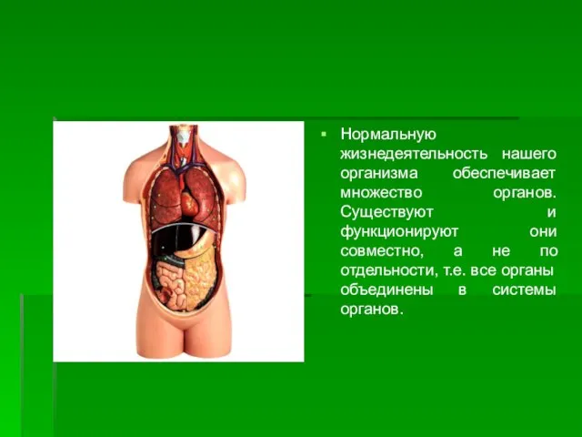 Нормальную жизнедеятельность нашего организма обеспечивает множество органов. Существуют и функционируют они совместно,