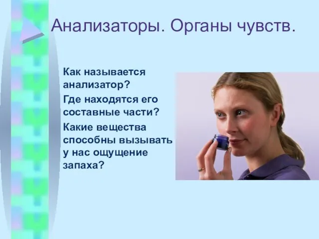 Анализаторы. Органы чувств. Как называется анализатор? Где находятся его составные части? Какие