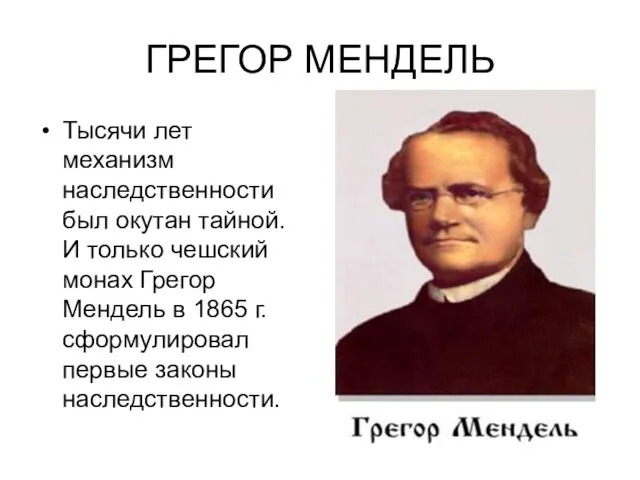 ГРЕГОР МЕНДЕЛЬ Тысячи лет механизм наследственности был окутан тайной. И только чешский