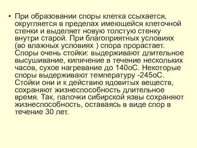 При образовании споры клетка ссыхается, округляется в пределах имеющейся клеточной стенки и