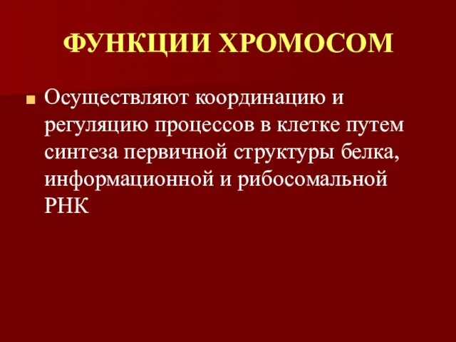 ФУНКЦИИ ХРОМОСОМ Осуществляют координацию и регуляцию процессов в клетке путем синтеза первичной