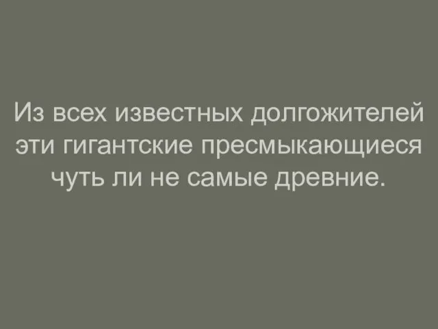 Из всех известных долгожителей эти гигантские пресмыкающиеся чуть ли не самые древние.