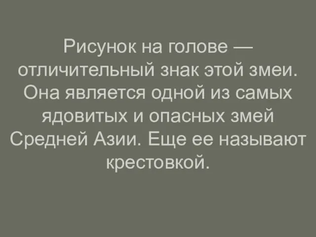 Рисунок на голове — отличительный знак этой змеи. Она является одной из