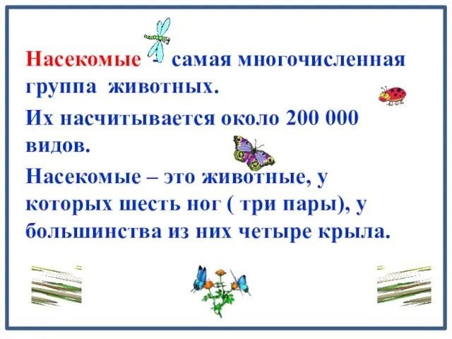 Насекомые - самая многочисленная группа животных. Их насчитывается около 200 000 видов.