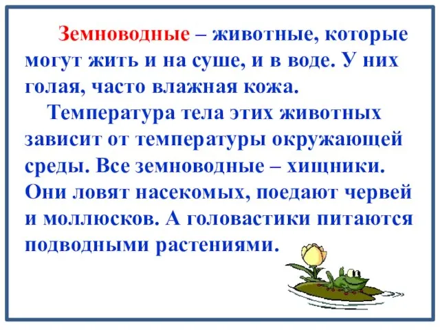 Земноводные – животные, которые могут жить и на суше, и в воде.