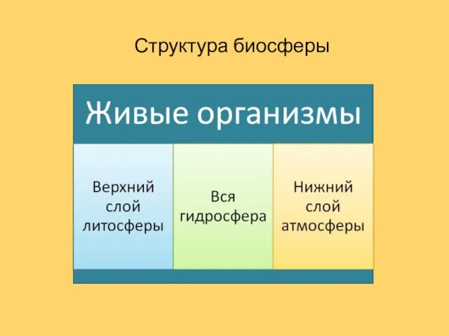 Структура биосферы