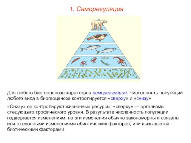 1. Саморегуляция Для любого биогеоценоза характерна саморегуляция. Численность популяций любого вида в