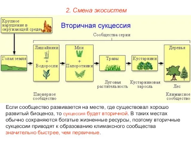 2. Смена экосистем Если сообщество развивается на месте, где существовал хорошо развитый