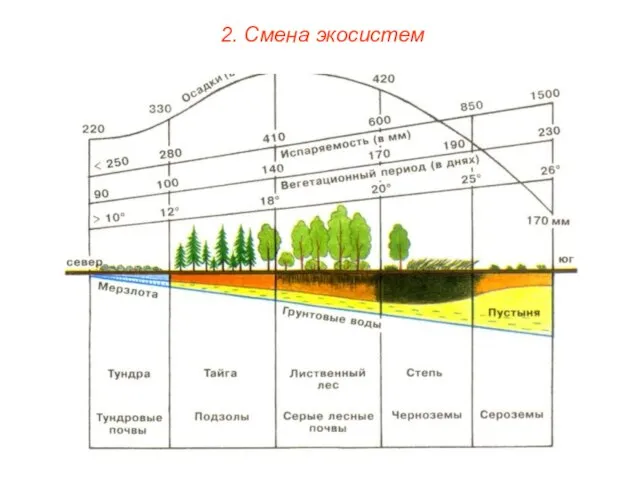 2. Смена экосистем