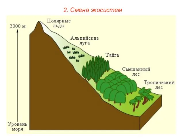 2. Смена экосистем