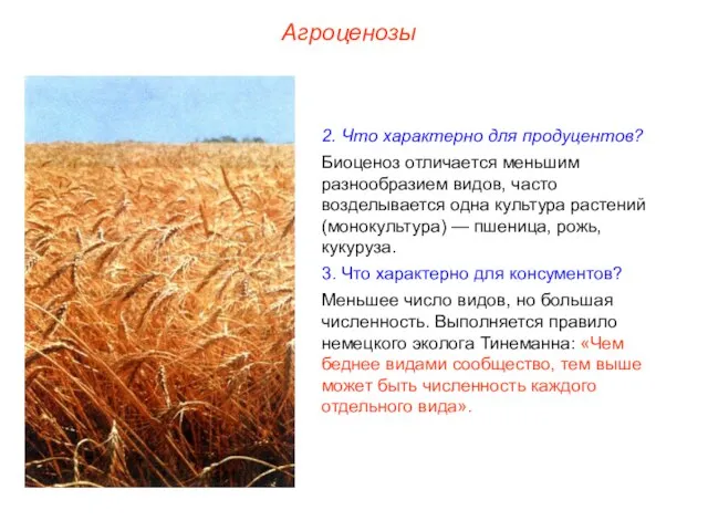 Агроценозы 2. Что характерно для продуцентов? Биоценоз отличается меньшим разнообразием видов, часто