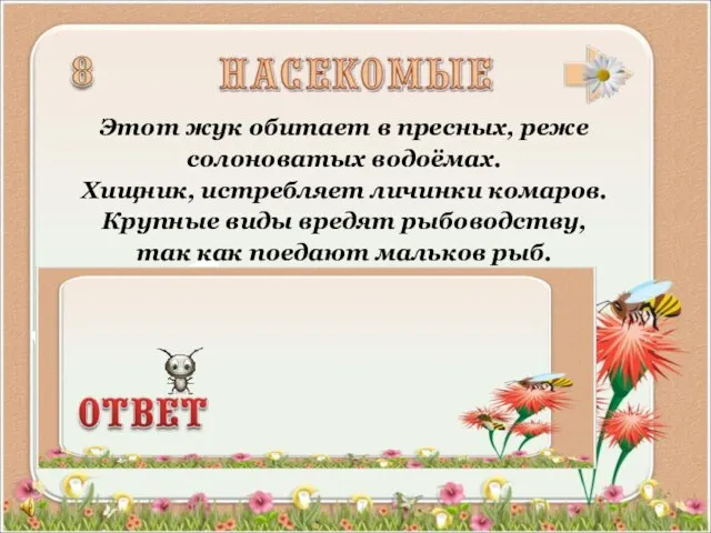 Этот жук обитает в пресных, реже солоноватых водоёмах. Хищник, истребляет личинки комаров.