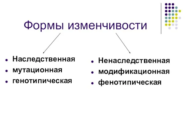 Формы изменчивости Наследственная мутационная генотипическая Ненаследственная модификационная фенотипическая