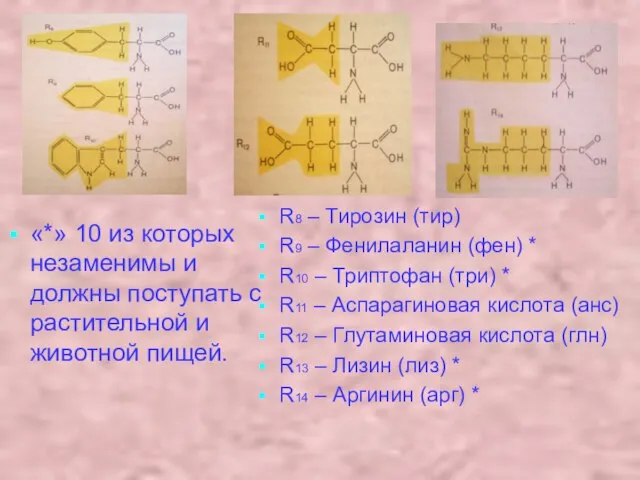 «*» 10 из которых незаменимы и должны поступать с растительной и животной