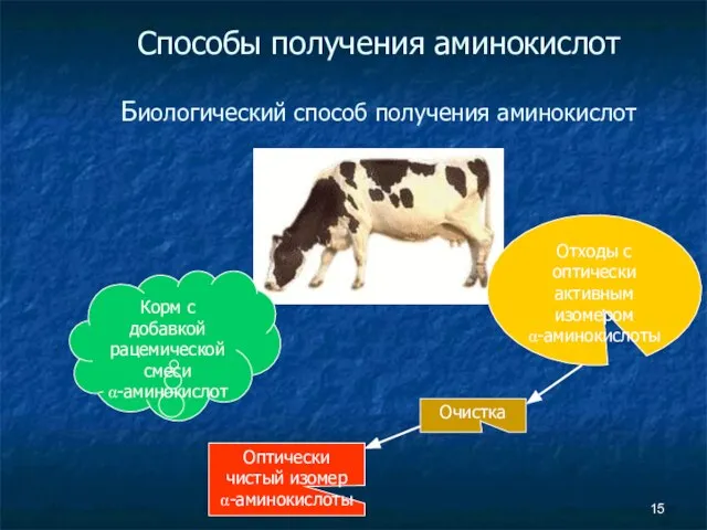 Способы получения аминокислот Биологический способ получения аминокислот Корм с добавкой рацемической смеси