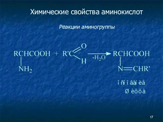 Химические свойства аминокислот Реакции аминогруппы