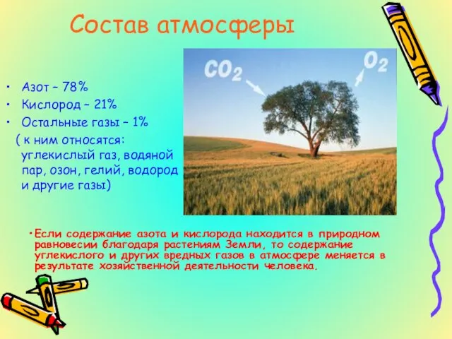 Состав атмосферы Азот – 78% Кислород – 21% Остальные газы – 1%