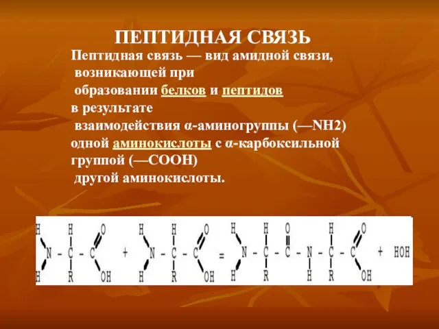 ПЕПТИДНАЯ СВЯЗЬ Пептидная связь — вид амидной связи, возникающей при образовании белков