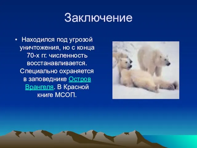 Заключение Находился под угрозой уничтожения, но с конца 70-х гг. численность восстанавливается.