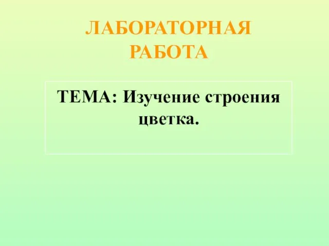 ЛАБОРАТОРНАЯ РАБОТА ТЕМА: Изучение строения цветка.