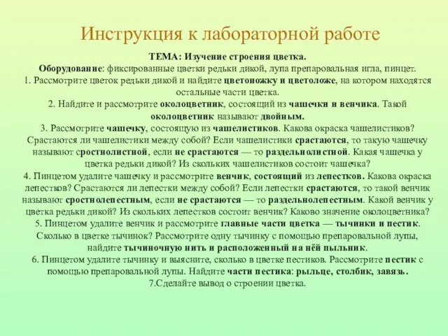 Инструкция к лабораторной работе ТЕМА: Изучение строения цветка. Оборудование: фиксированные цветки редьки