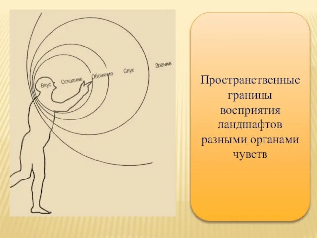 Пространственные границы восприятия ландшафтов разными органами чувств