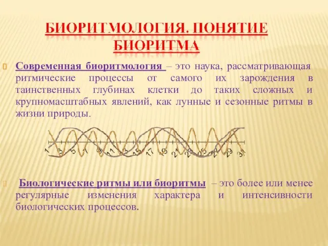 Современная биоритмология – это наука, рассматривающая ритмические процессы от самого их зарождения