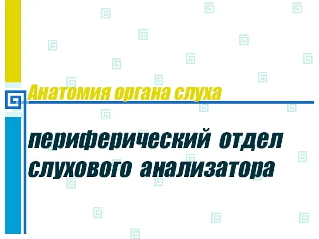 Анатомия органа слуха периферический отдел слухового анализатора