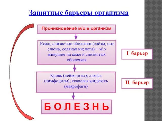 Проникновение м/о в организм Кожа, слизистые оболочки (слёзы, пот, слюна, соляная кислота)