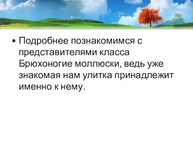 Подробнее познакомимся с представителями класса Брюхоногие моллюски, ведь уже знакомая нам улитка принадлежит именно к нему.