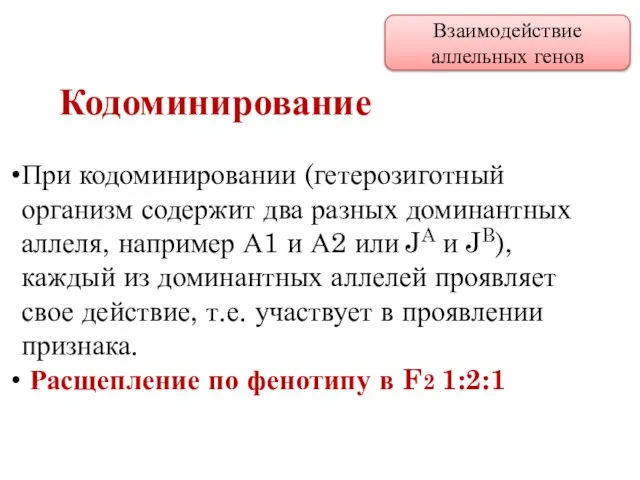 При кодоминировании (гетерозиготный организм содержит два разных доминантных аллеля, например А1 и