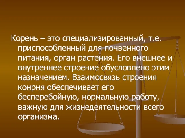 Корень – это специализированный, т.е. приспособленный для почвенного питания, орган растения. Его