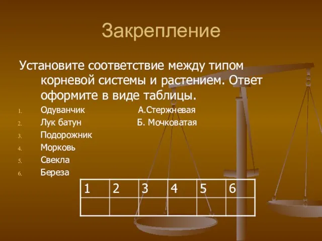 Закрепление Установите соответствие между типом корневой системы и растением. Ответ оформите в