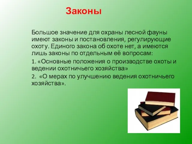 Большое значение для охраны лесной фауны имеют законы и постановления, регулирующие охоту.