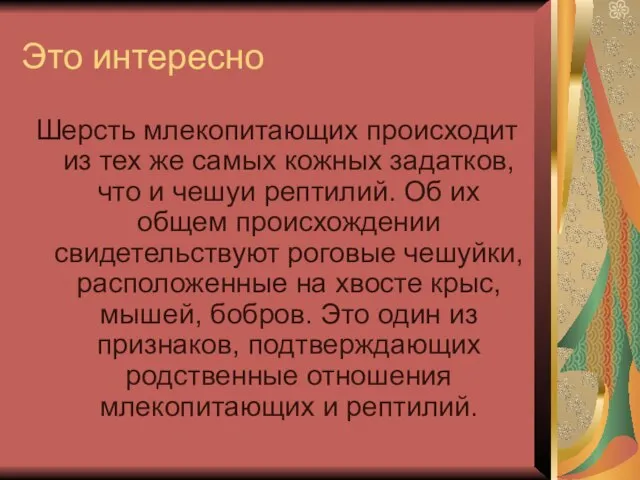 Это интересно Шерсть млекопитающих происходит из тех же самых кожных задатков, что