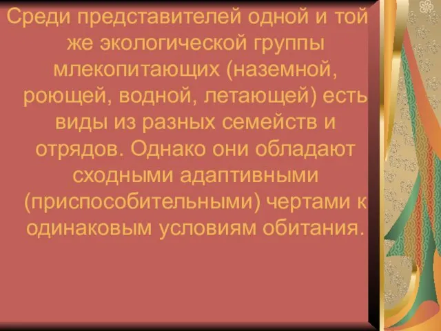 Среди представителей одной и той же экологической группы млекопитающих (наземной, роющей, водной,